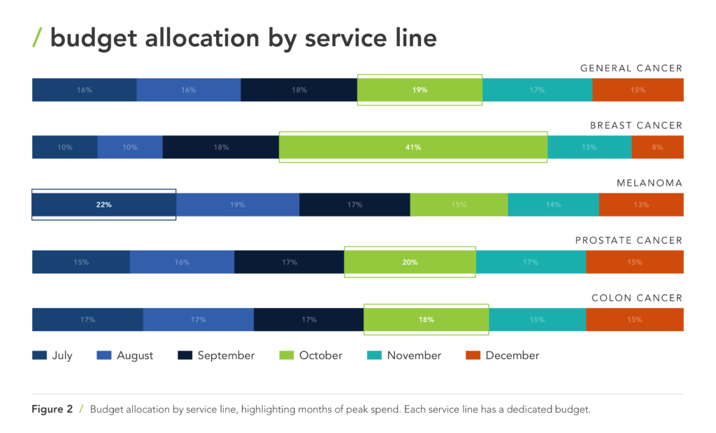 healthcare paid media budget allocation by service line